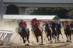 浦和競馬2