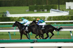 ■2019-09-15_中山競馬場 (75)
