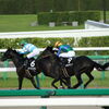 ■2019-09-15_中山競馬場 (75)
