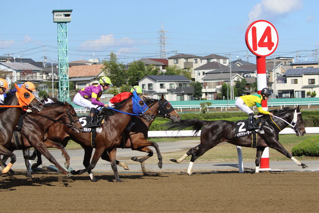 ■2019-11-04_浦和競馬場 (4)