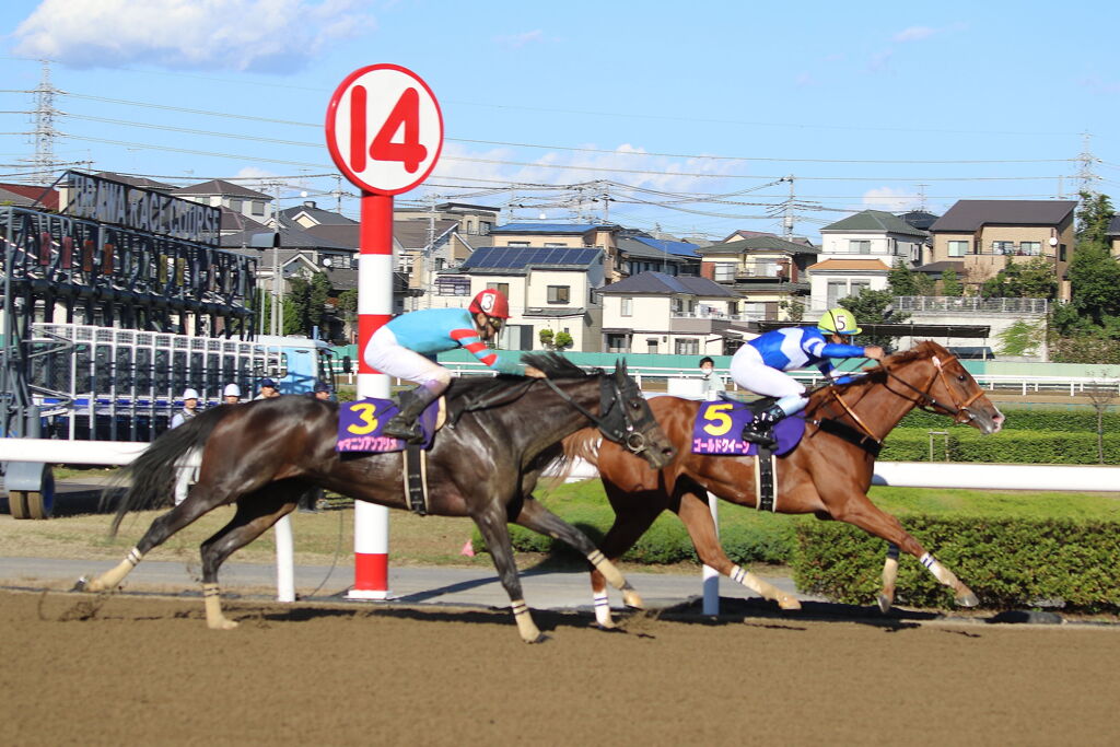 ■2019-11-04_浦和競馬場 (86)