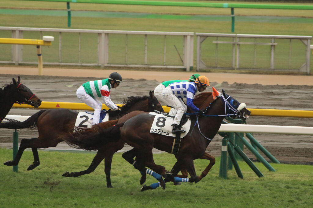 ■2019-11-23_ 東京競馬場(49)