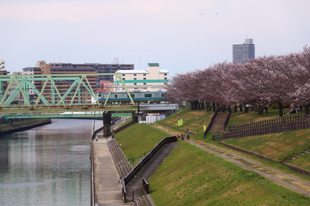 ■2020-03-28_荒川土手 (103)