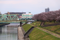 ■2020-03-28_荒川土手 (103)