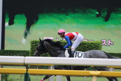 ■2019-06-23_東京競馬場 (18)