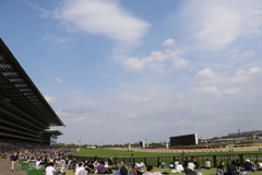 ■2019-04-21_東京競馬場 (66)