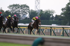 ■2019-06-23_東京競馬場 (37)