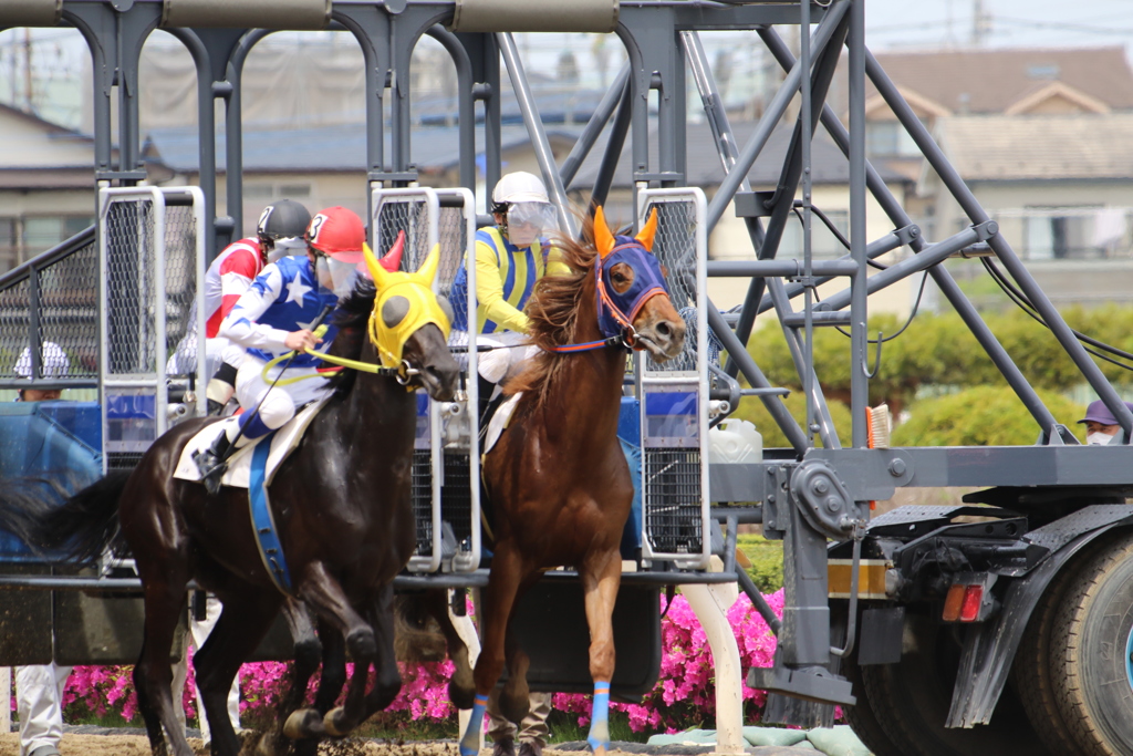 ■2019-05-03_浦和競馬場 (19)