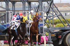■2019-05-03_浦和競馬場 (19)