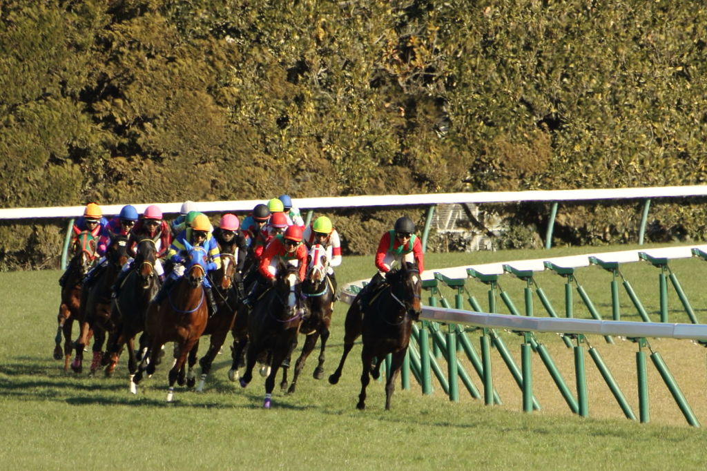 ■2019-02-02_東京競馬場11