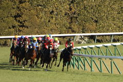 ■2019-02-02_東京競馬場11