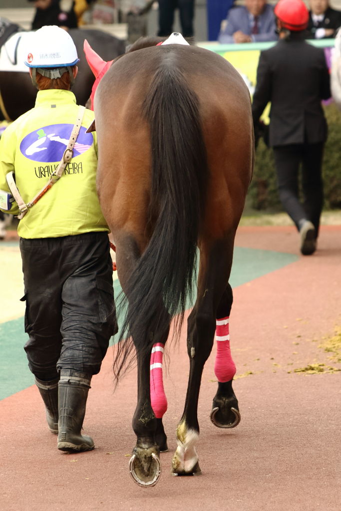 ■2019.02.11_浦和競馬05
