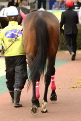 ■2019.02.11_浦和競馬05