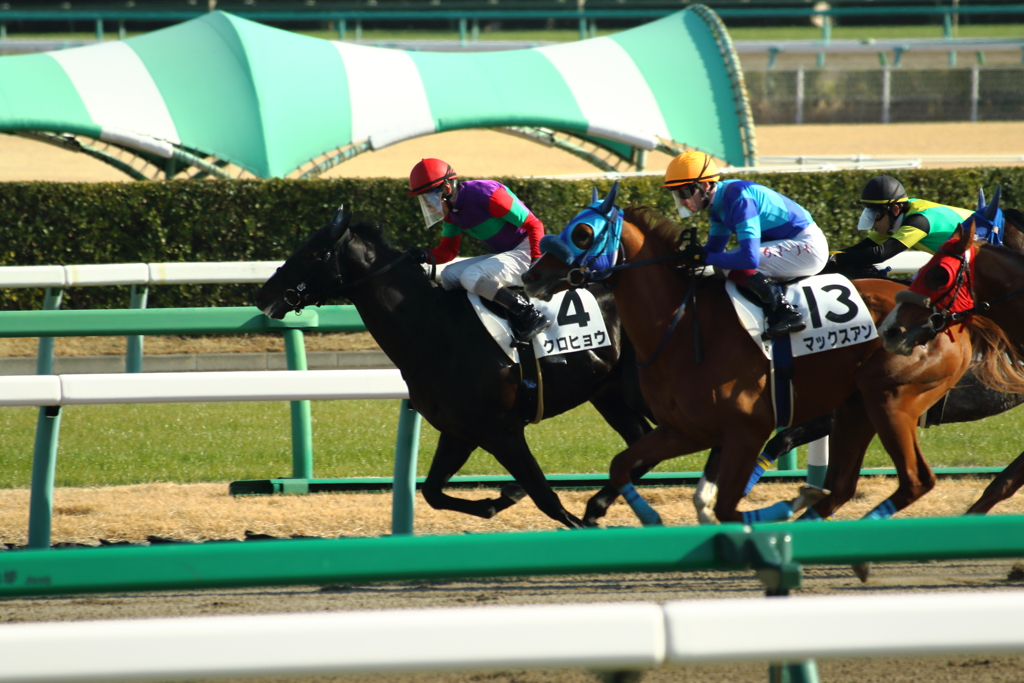 ■2020.01.19_中山競馬場 (25)