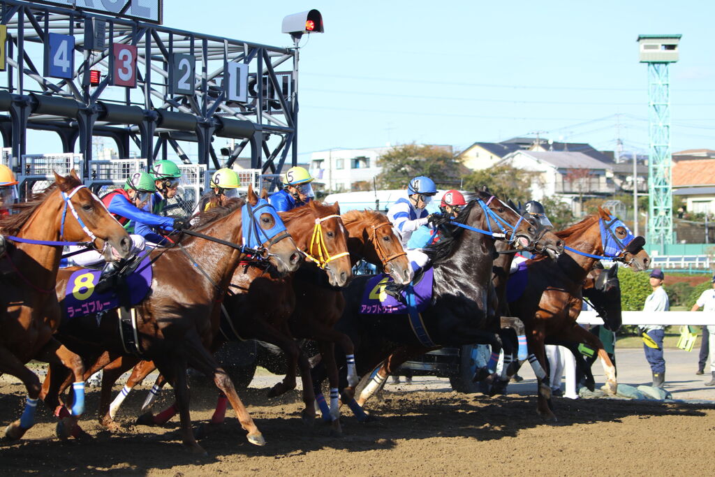 ■2019-11-04_浦和競馬場 (76)