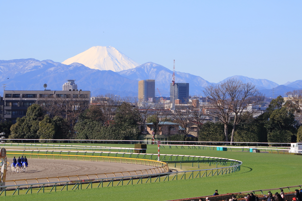 ■2020.02.01_東京競馬場 (1)