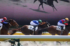 ■2019-04-21_東京競馬場 (33)