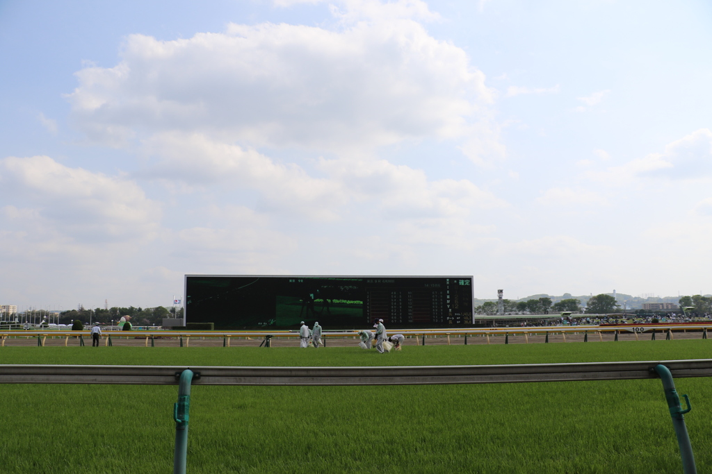 ■2019-04-21_東京競馬場 (60)