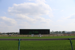 ■2019-04-21_東京競馬場 (60)