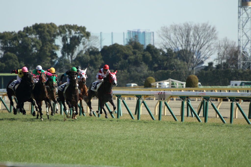 ■2019-02-17_東京競馬場-08