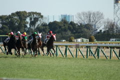 ■2019-02-17_東京競馬場-08