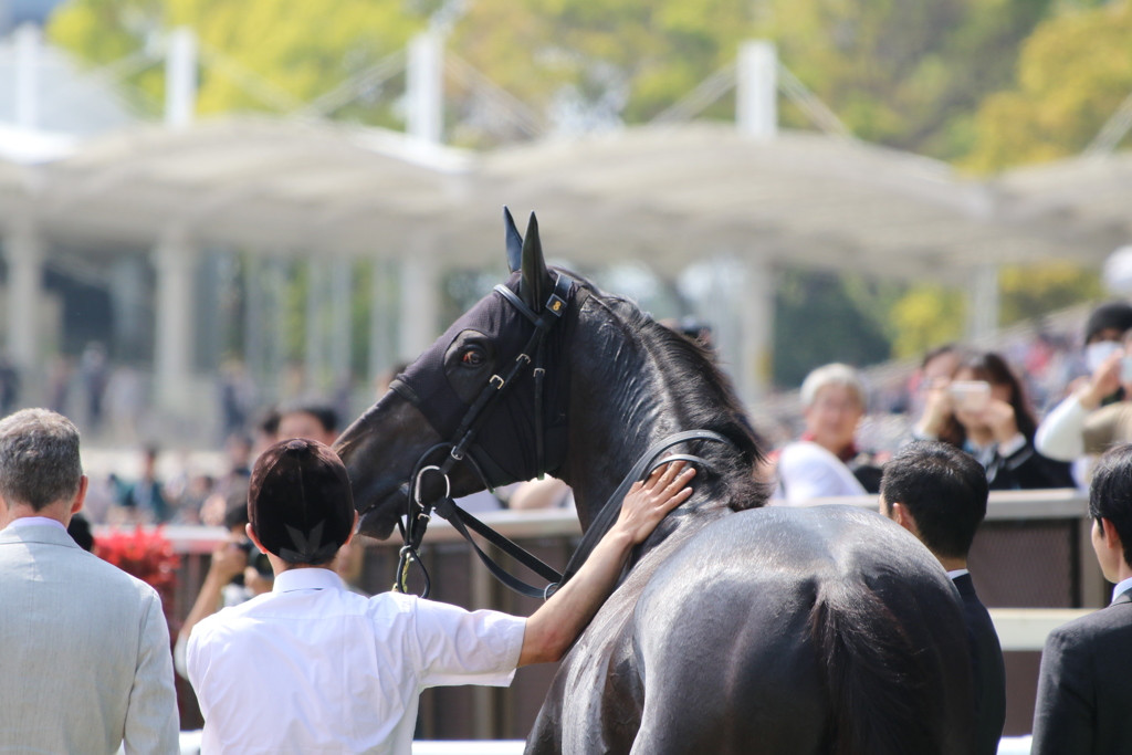 ■2019-04-21_東京競馬場 (55)