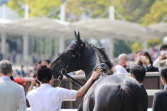 ■2019-04-21_東京競馬場 (55)
