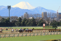 ■2020.02.01_東京競馬場 (12)