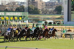■2019-02-02_東京競馬場3