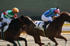 ■2019-02-17_東京競馬場-047JPG