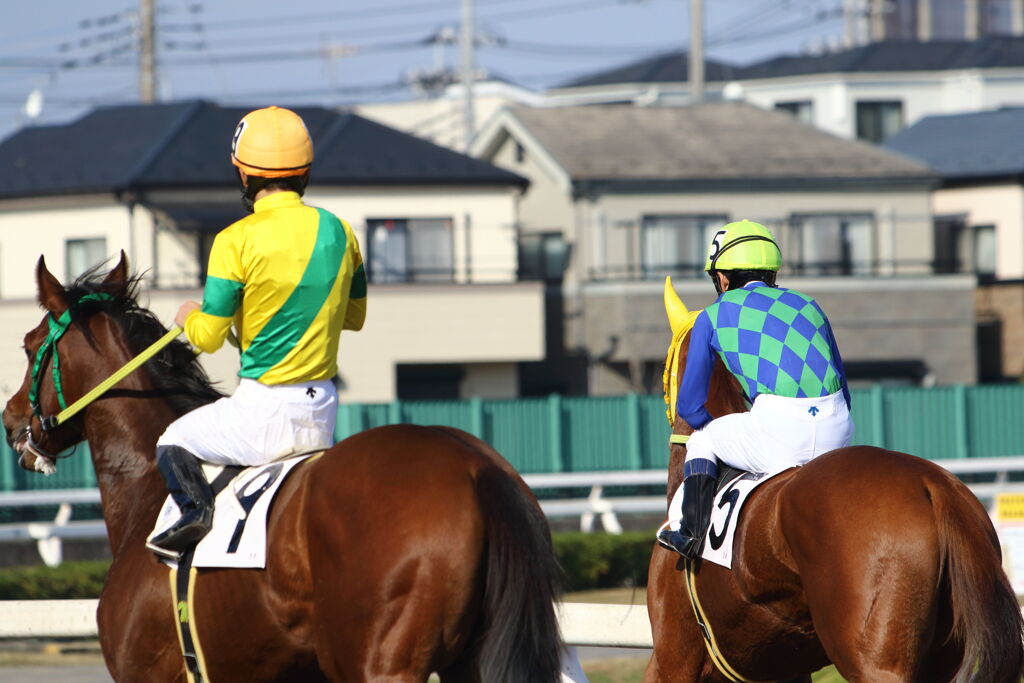 ■2019-11-25_浦和競馬場 (39)