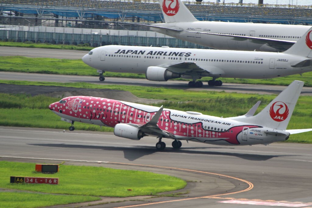 ■2019.09.09_羽田空港 (102)