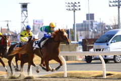 ■2020-01-03_川崎競馬場 (4)