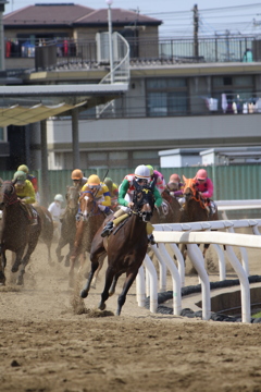 ■2019-05-03_浦和競馬場 (54)