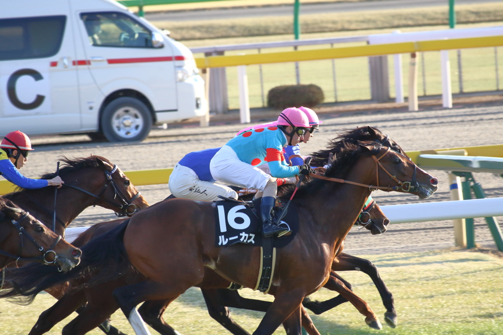 ■2020-02-08_東京競馬場 (67)