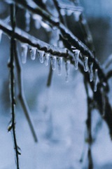 010FA0EA-7936-4C6C-B64E-E32CEEAAEFDD