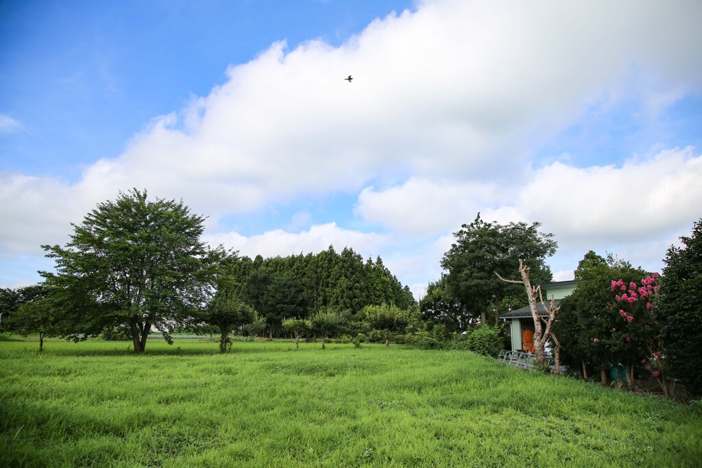 良い日、良い空