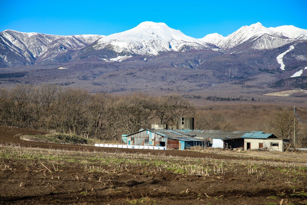 雪解けの前に