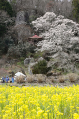 岩観音