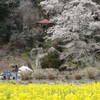 岩観音