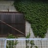 上と下から