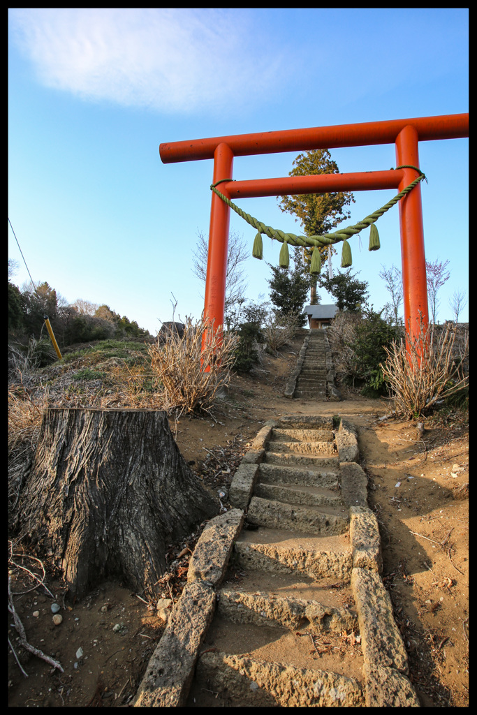 丘の上に祀られて