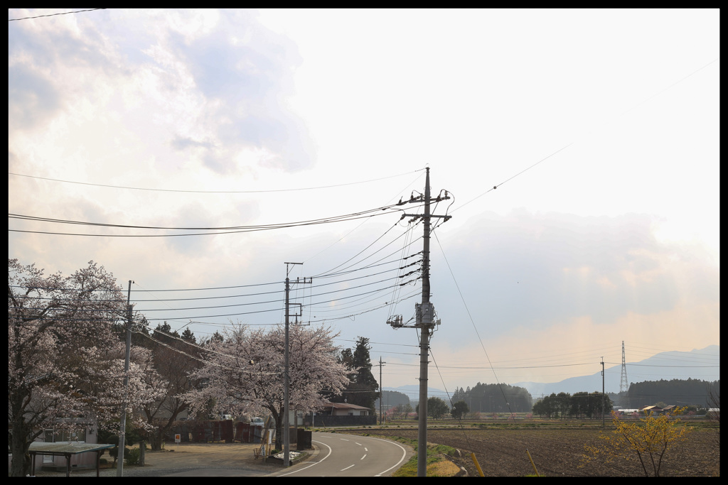 春の休日