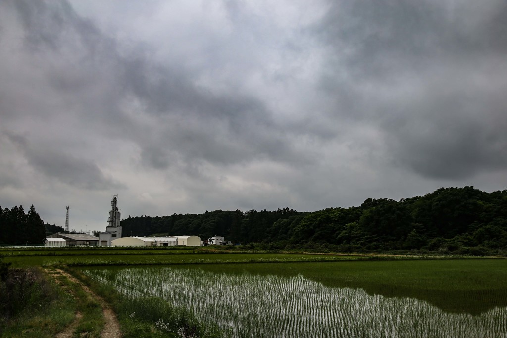 田園の建築物