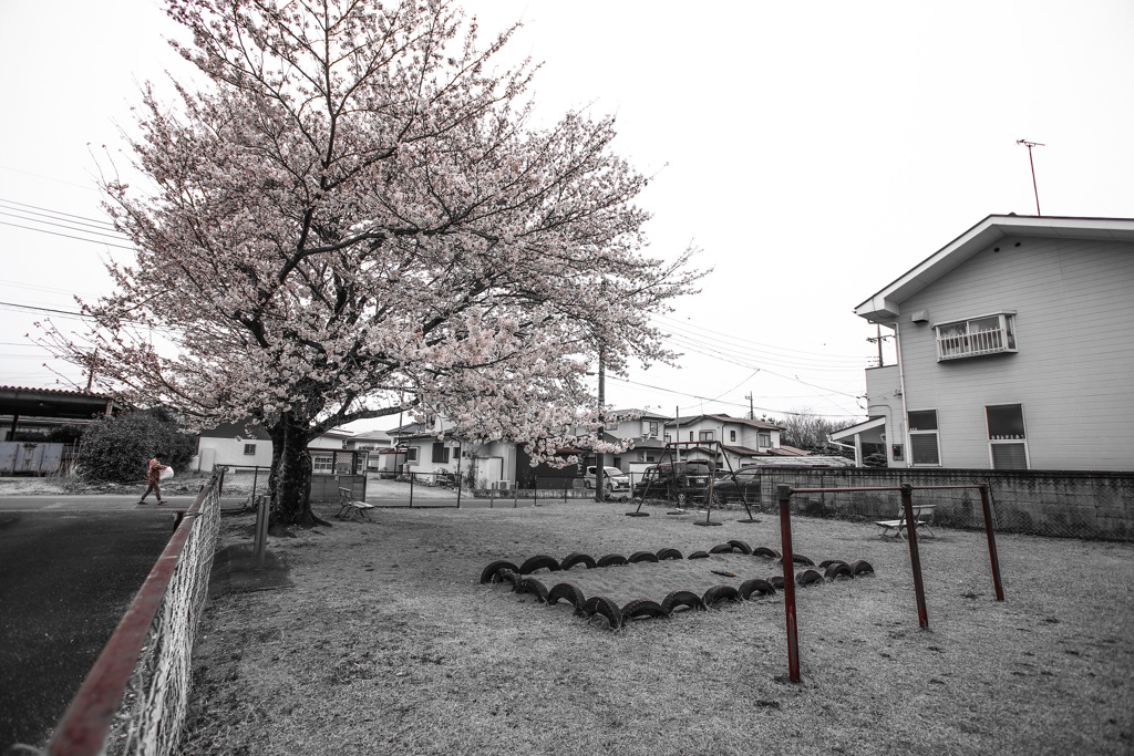朝のゴミ出し