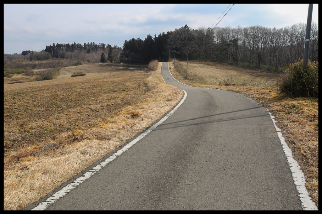 うねる道