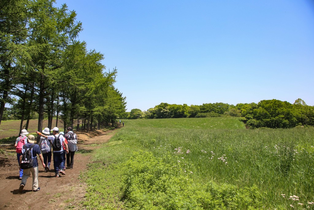 牧草地を行く