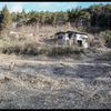 渦巻く草波と住処