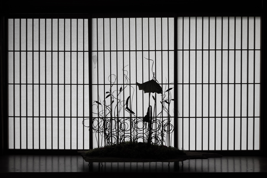 生花影