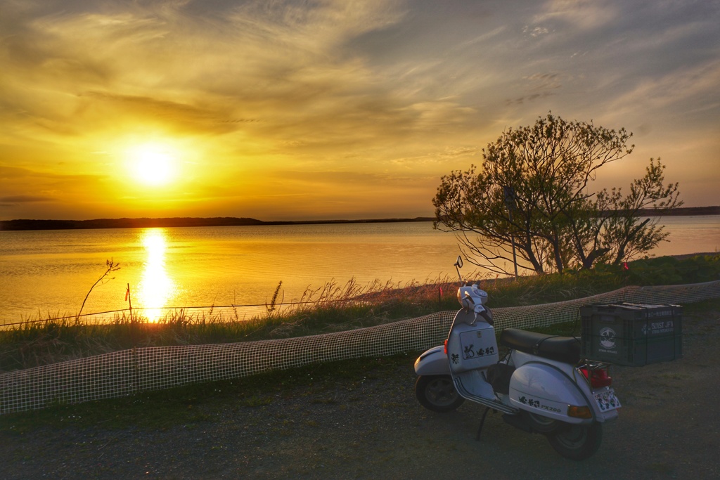 相棒と眺める北海道の夕日